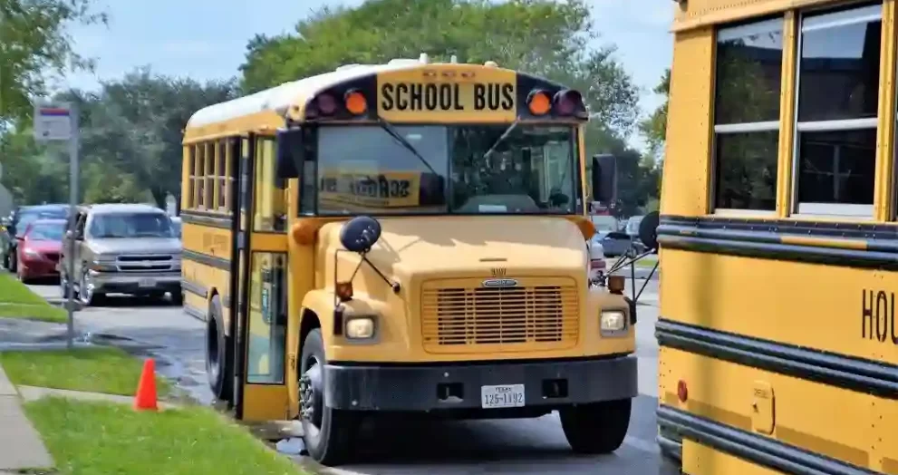 Mini School Buses