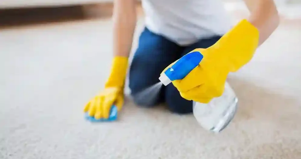 Expert Carpet Cleaning