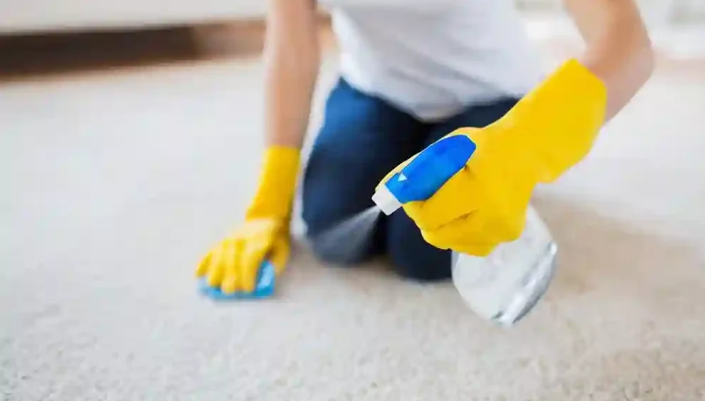 Expert Carpet Cleaning