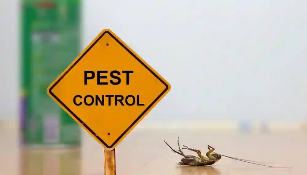 best insecticide